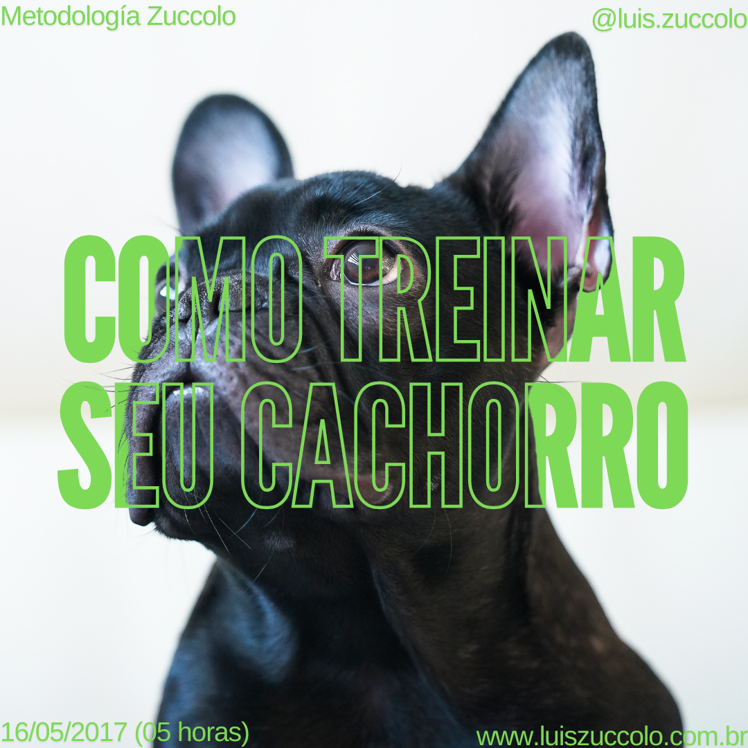 Imagem 01 | ADESTRAMENTO BÁSICO