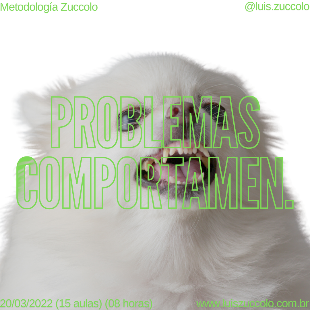 Imagem 06 | PROBLEMAS COMPORTAMENTAIS