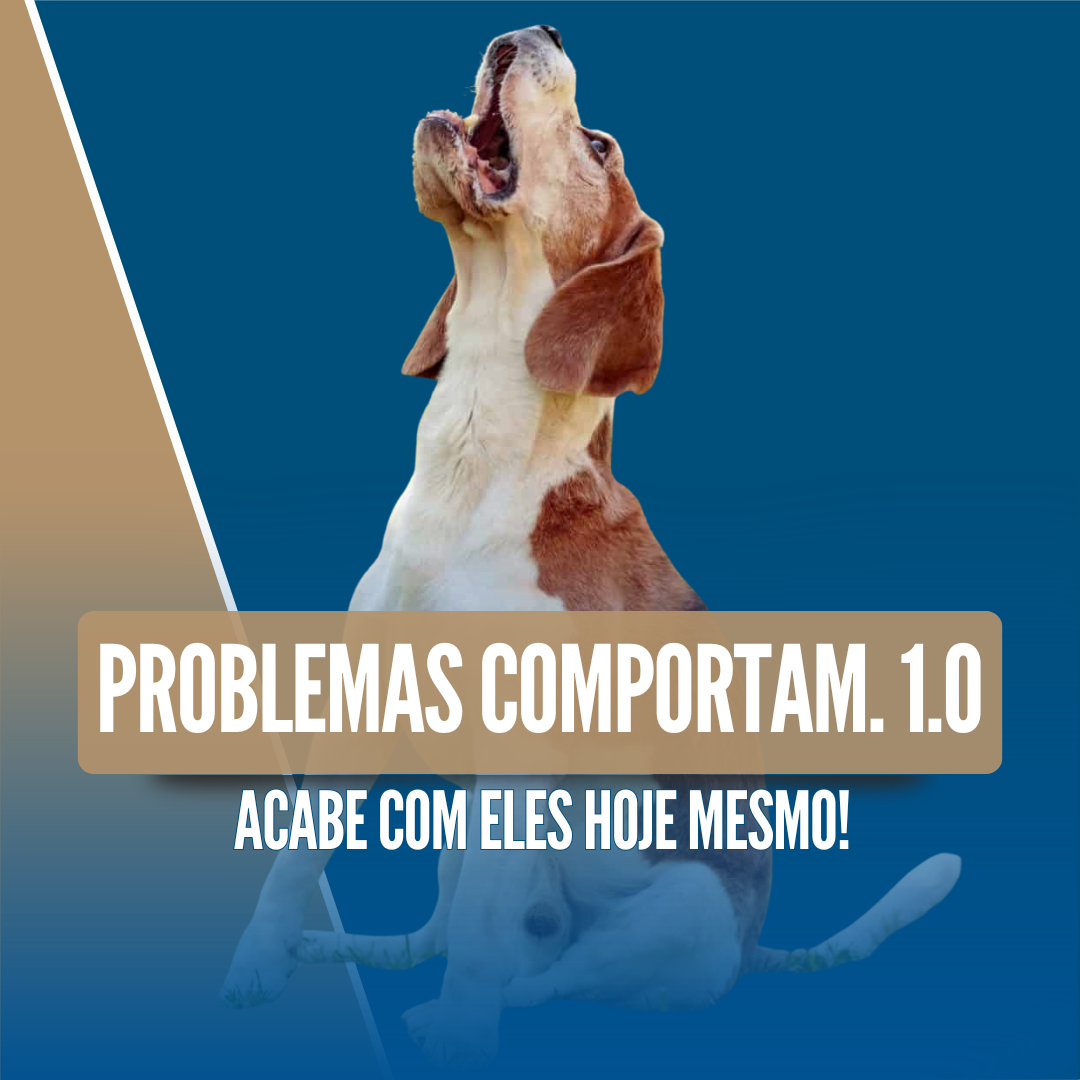Imagem 10 | PROBLEMAS COMPORTAMENTAIS 1.0