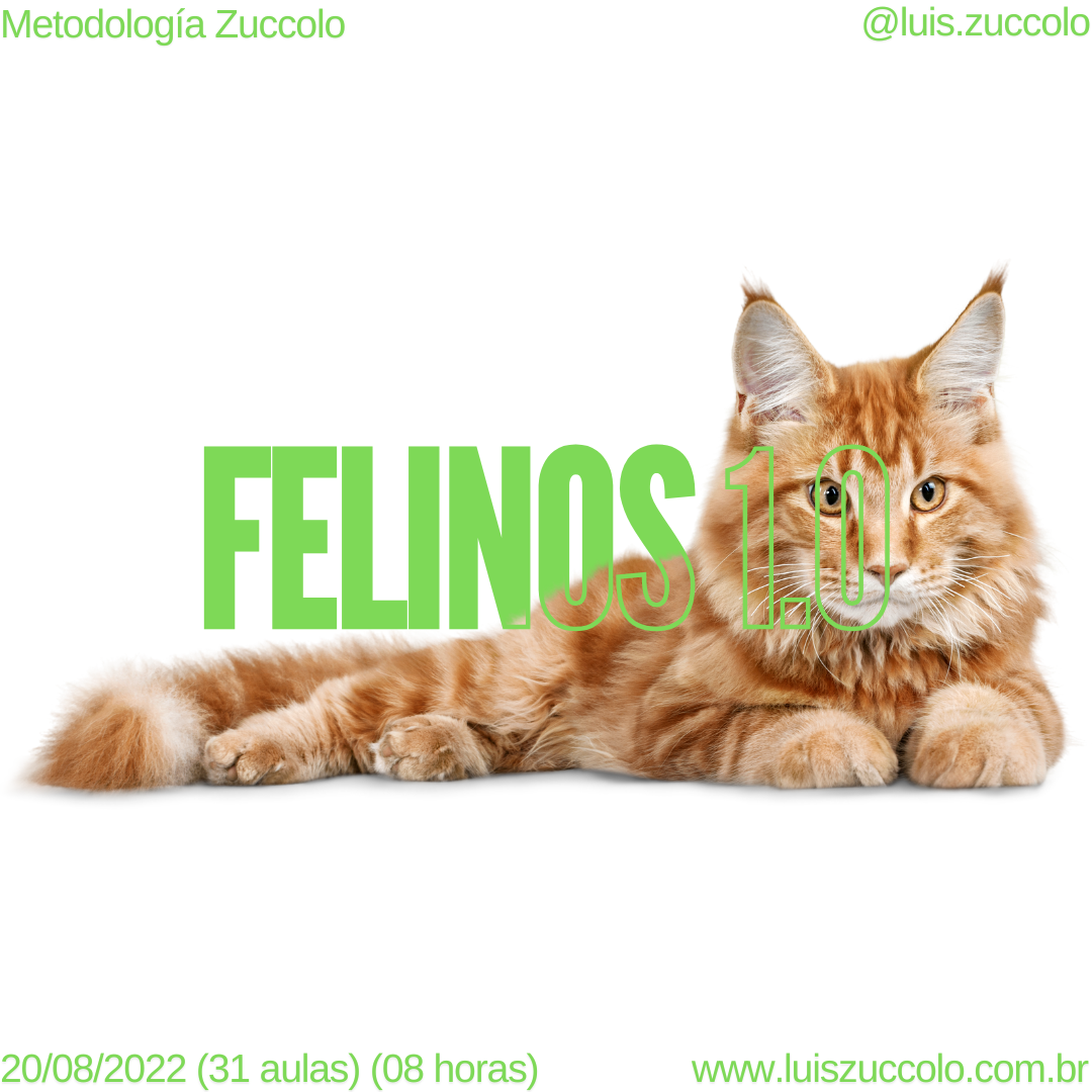 Imagem 07 | COMPORTAMENTO FELINO 1.0