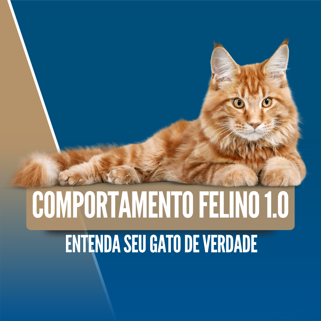 Imagem 14 | COMPORTAMENTO FELINO 1.0
