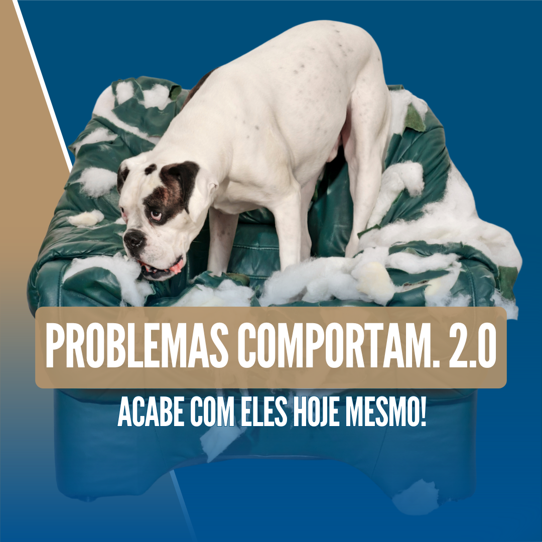 Imagem 09 | PROBLEMAS COMPORTAMENTAIS 2.0