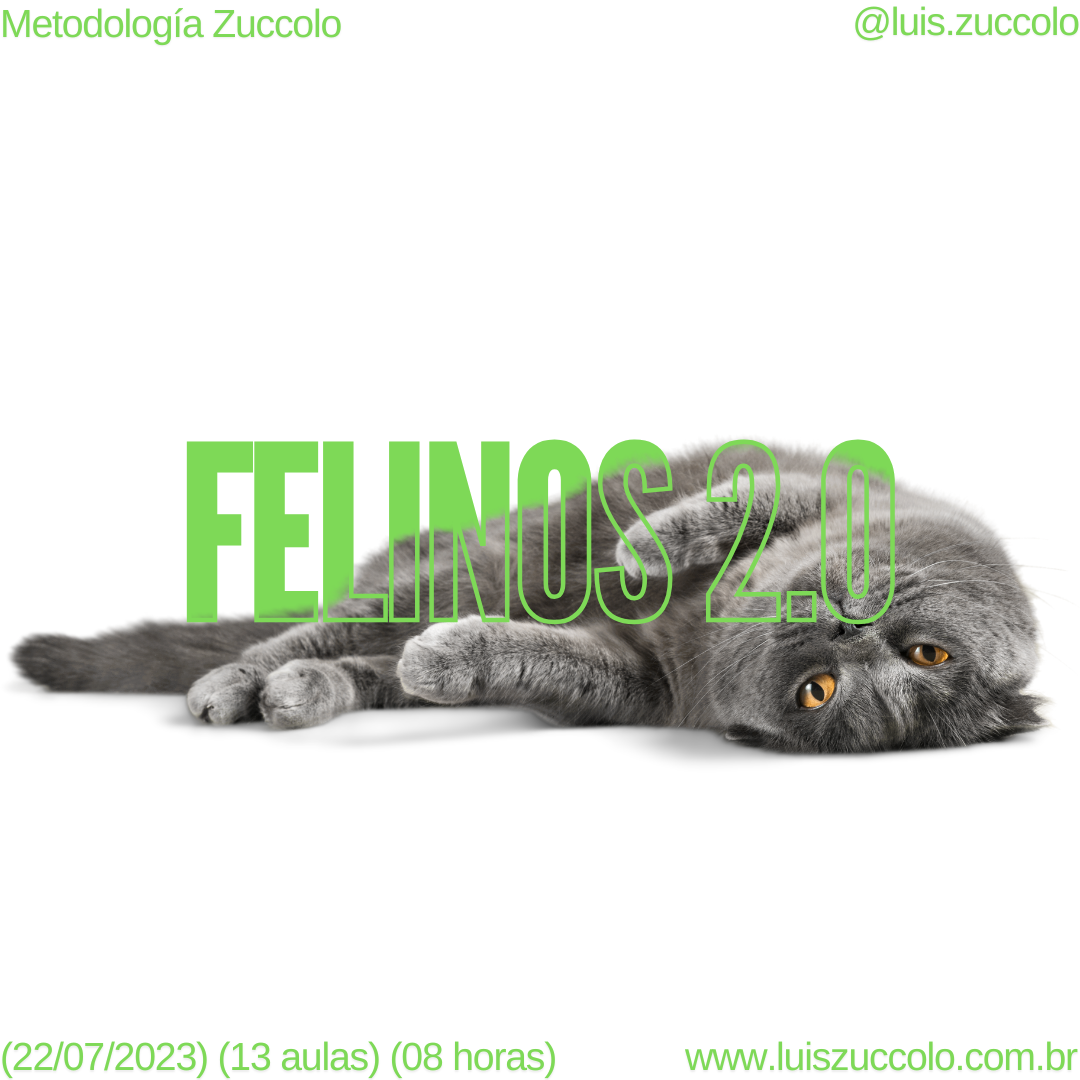 Imagem 11 | COMPORTAMENTO FELINO 2.0