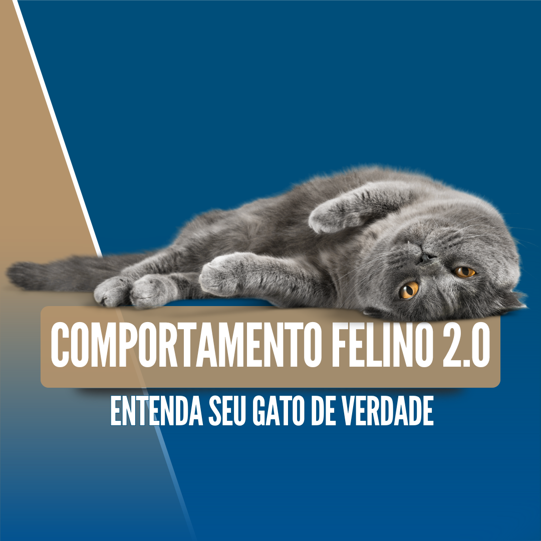Imagem 13 | COMPORTAMENTO FELINO 2.0