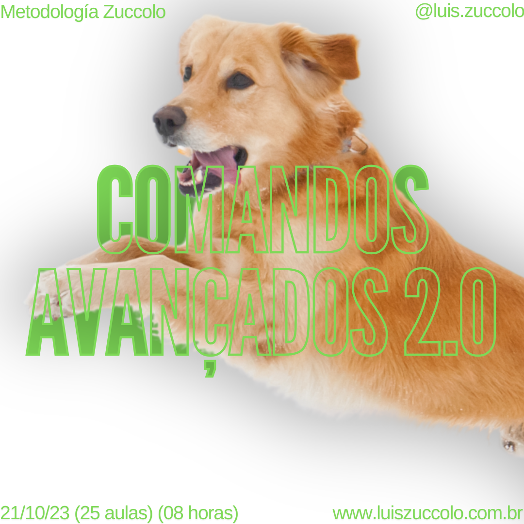 Imagem 13 | MÓDULO COMANDOS AVANÇADOS 2.0