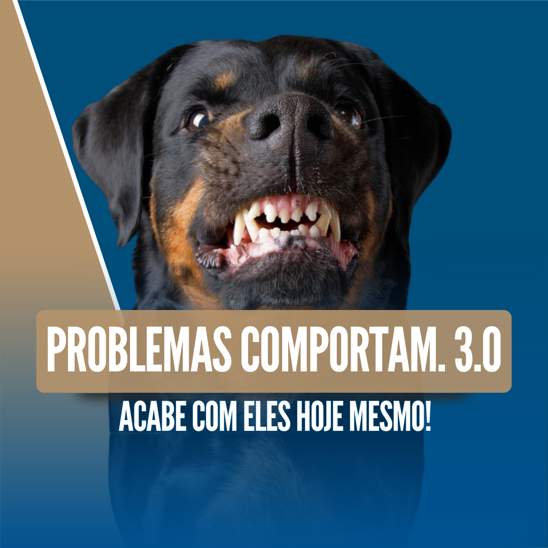 Imagem 08 | PROBLEMAS COMPORTAMENTAIS 3.0