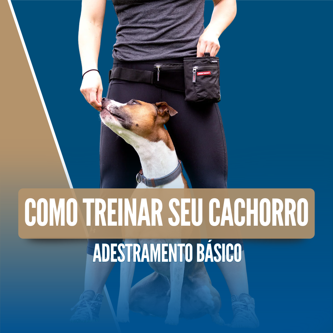 Imagem 18 | PARA TUTORES | COMO TREINAR SEU CACHORRO