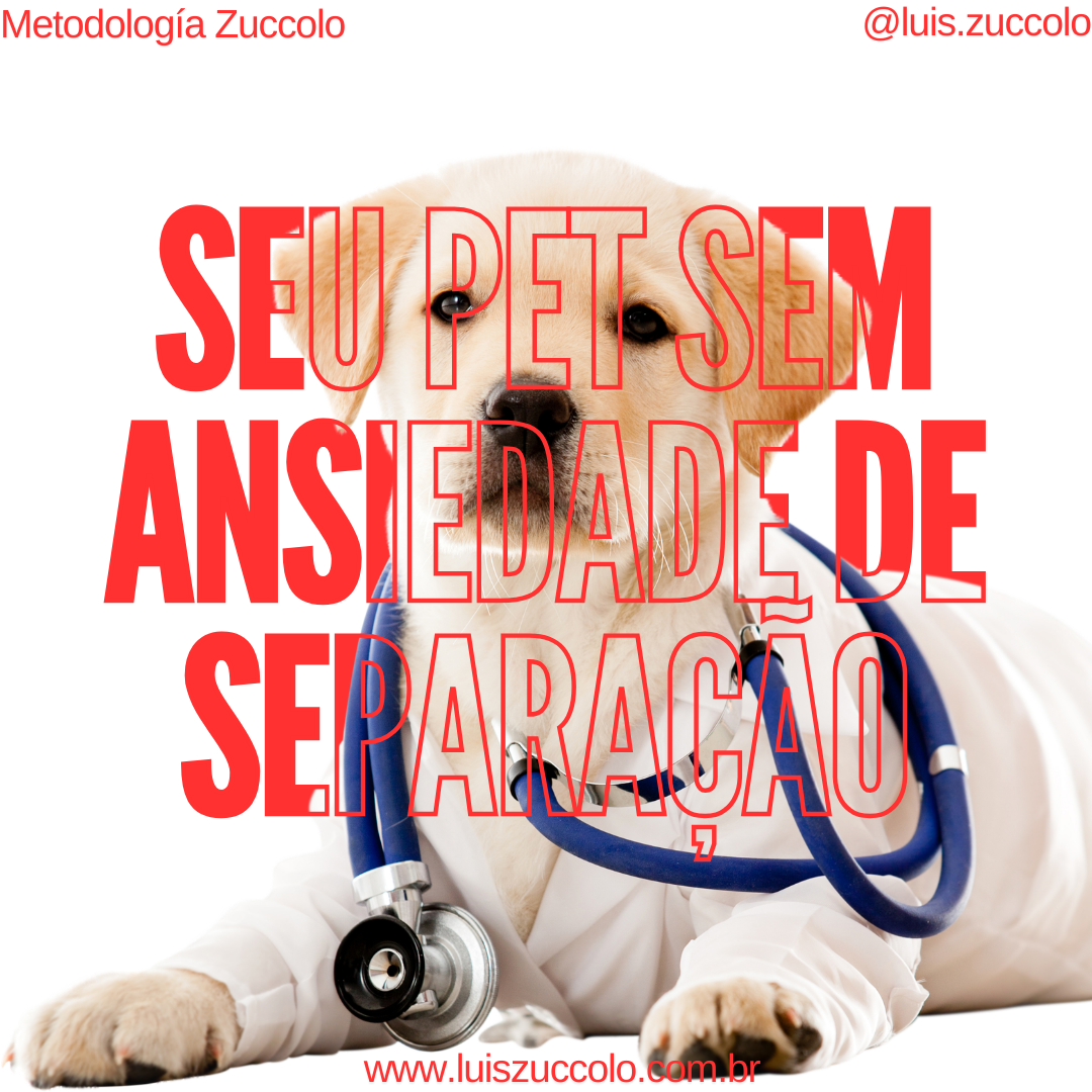Imagem PARA TUTORES | SEU PET SEM ANSIEDADE DE SEPARAÇÃO