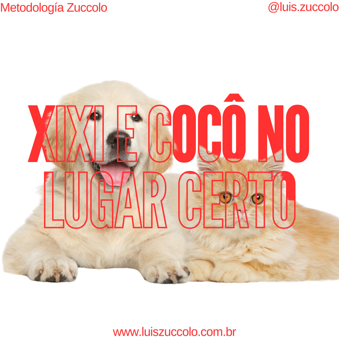 Imagem PARA TUTORES | XIXI E COCÔ NO LUGAR CERTO