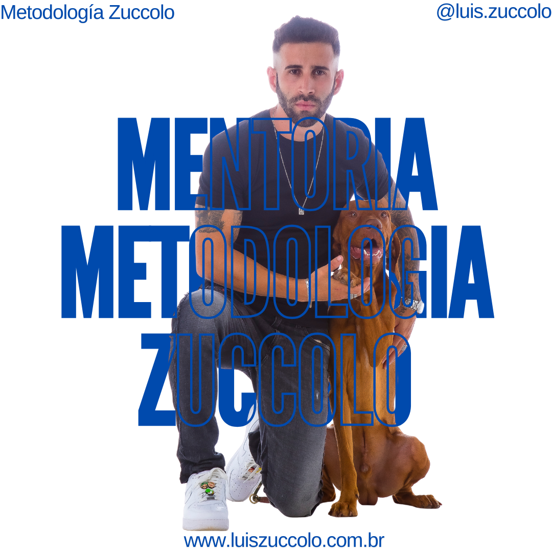 Imagem | MENTORIA | METODOLOGIA ZUCCOLO