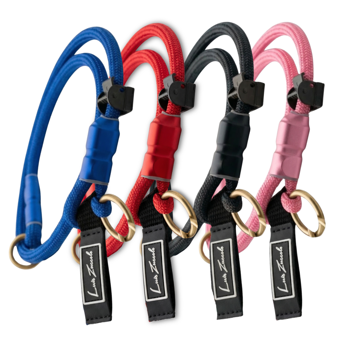 Imagem LZ COLAR DE TREINO