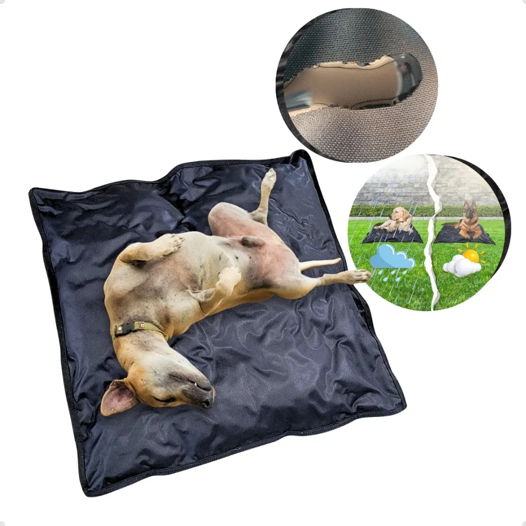Imagem CAMINHA PARA PET